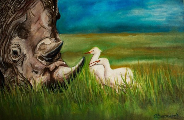 Rinoceronte. Pintura al óleo . Cynthia Bandurek