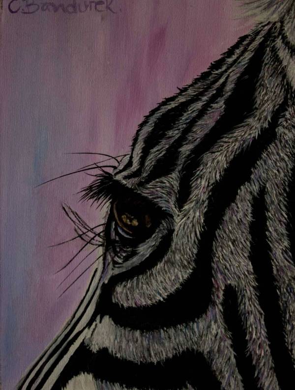 Cebra - Pintura al óleo. detalles. Cynthia Bandurek