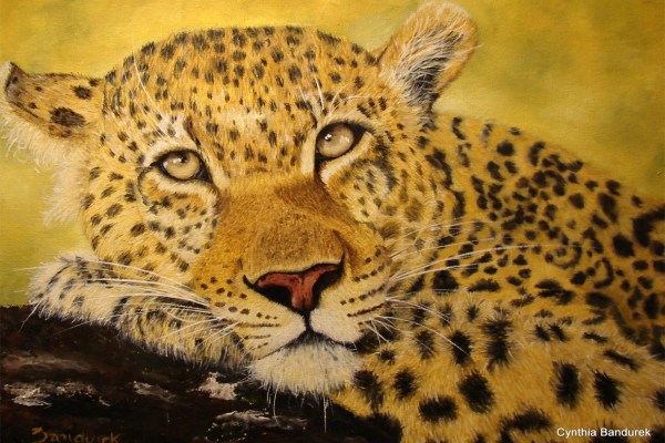 Cynthia Bandurek - Pintura al óleo. Leopardo