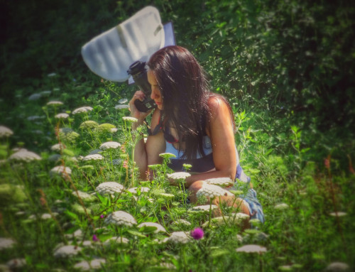 Tales from the jungle