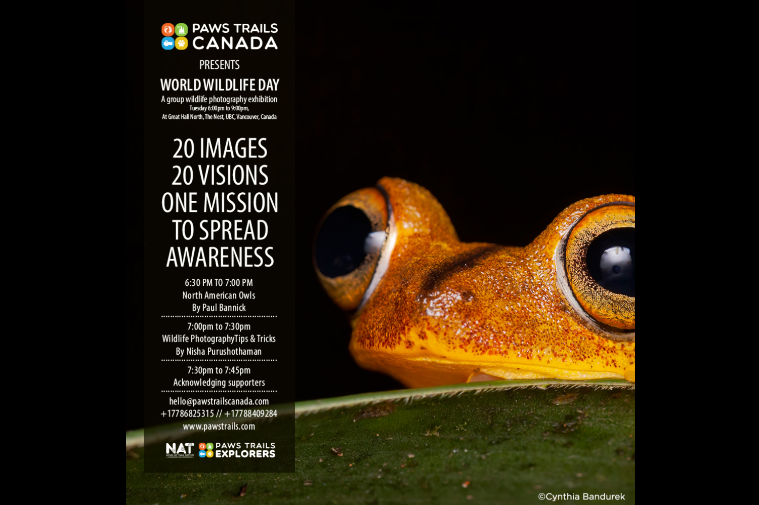 World Wildlife Day - A group wildlife photography exhibition. Vancouver.  Canada! . • Cynthia Bandurek