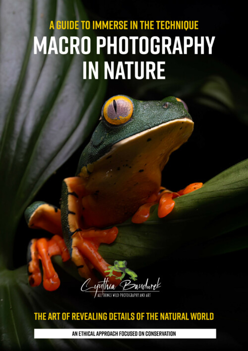 Macro Photography E-Book