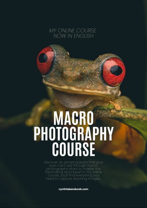Macro Photography in Nature