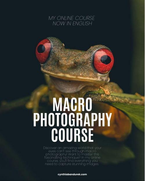 Macro Photography in Nature