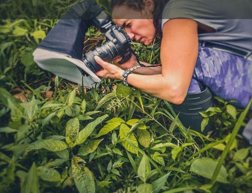 The Beginning: A Calling from the Earth