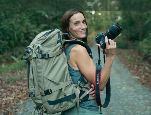 A New Chapter in the Jungle: Embracing Change