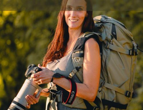 Paths Through the Wild: Where the Jungle Meets the Soul