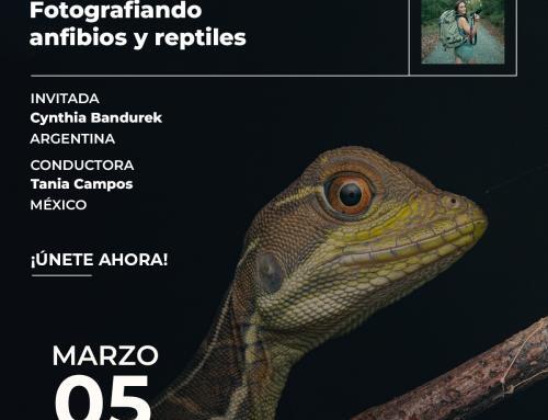 Canon Creators – Webinar