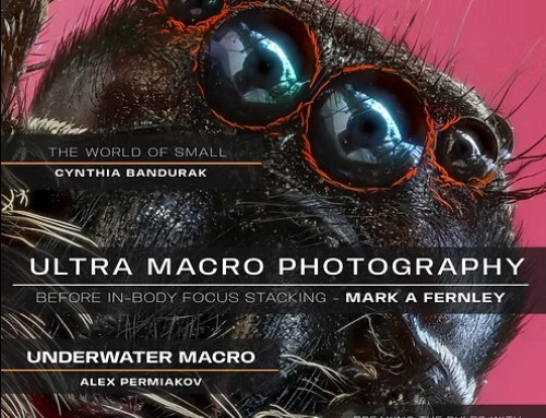 Featured in Untamed Photo Magazine