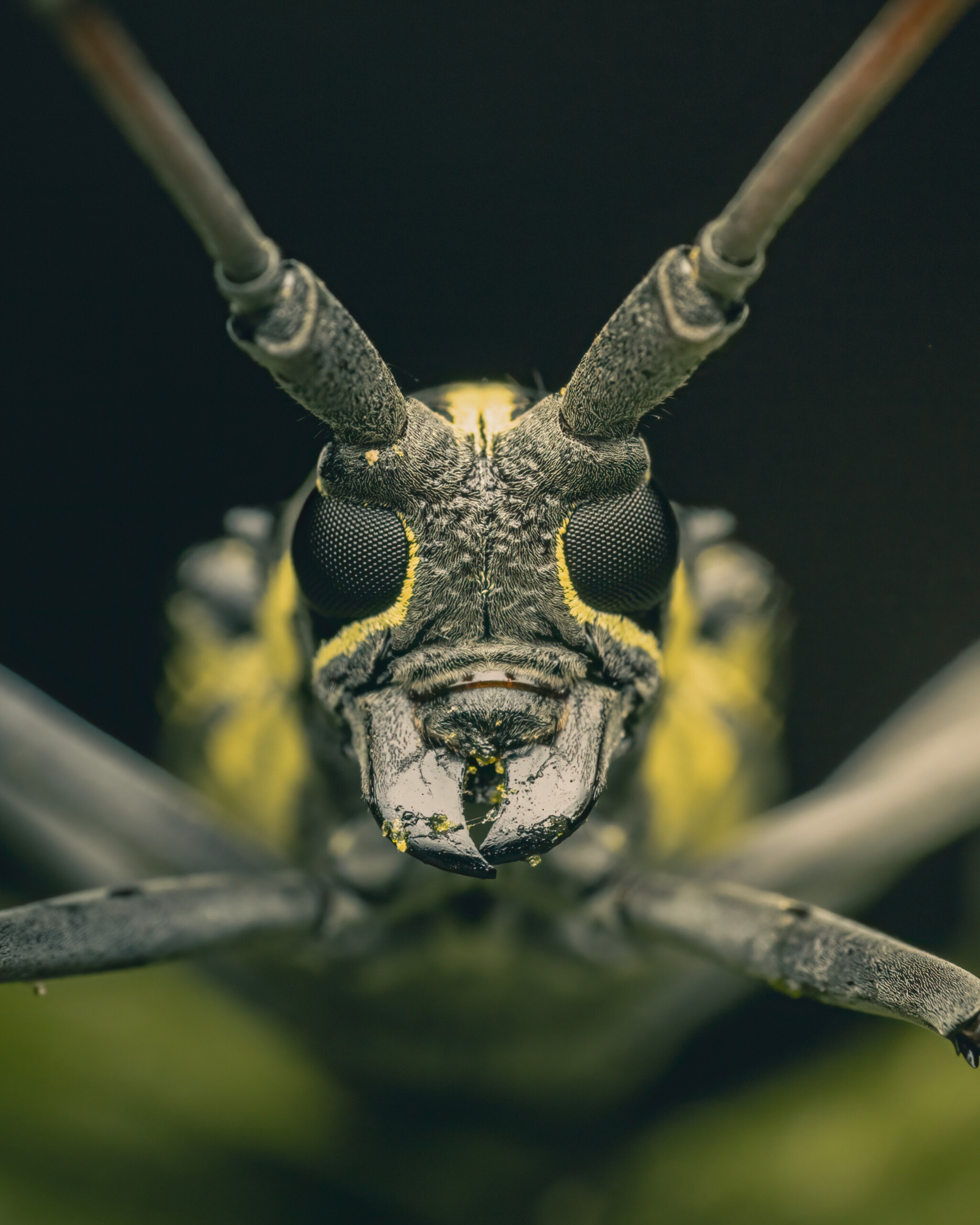 InShot_20260120_114526553