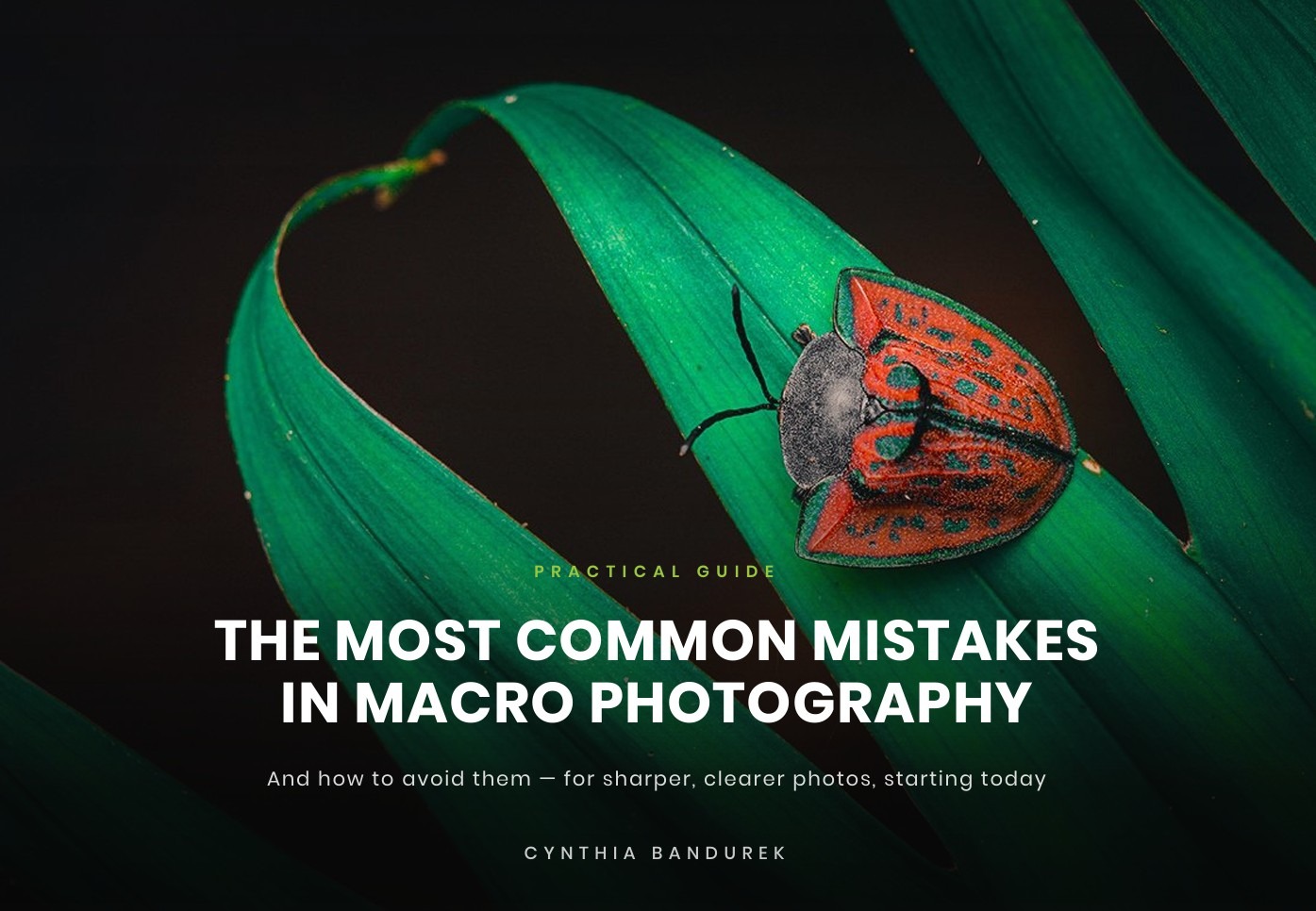 portada mistakes English