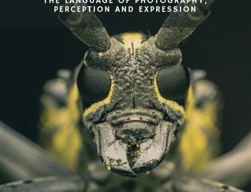When Technique Gets in the Way of Expression
